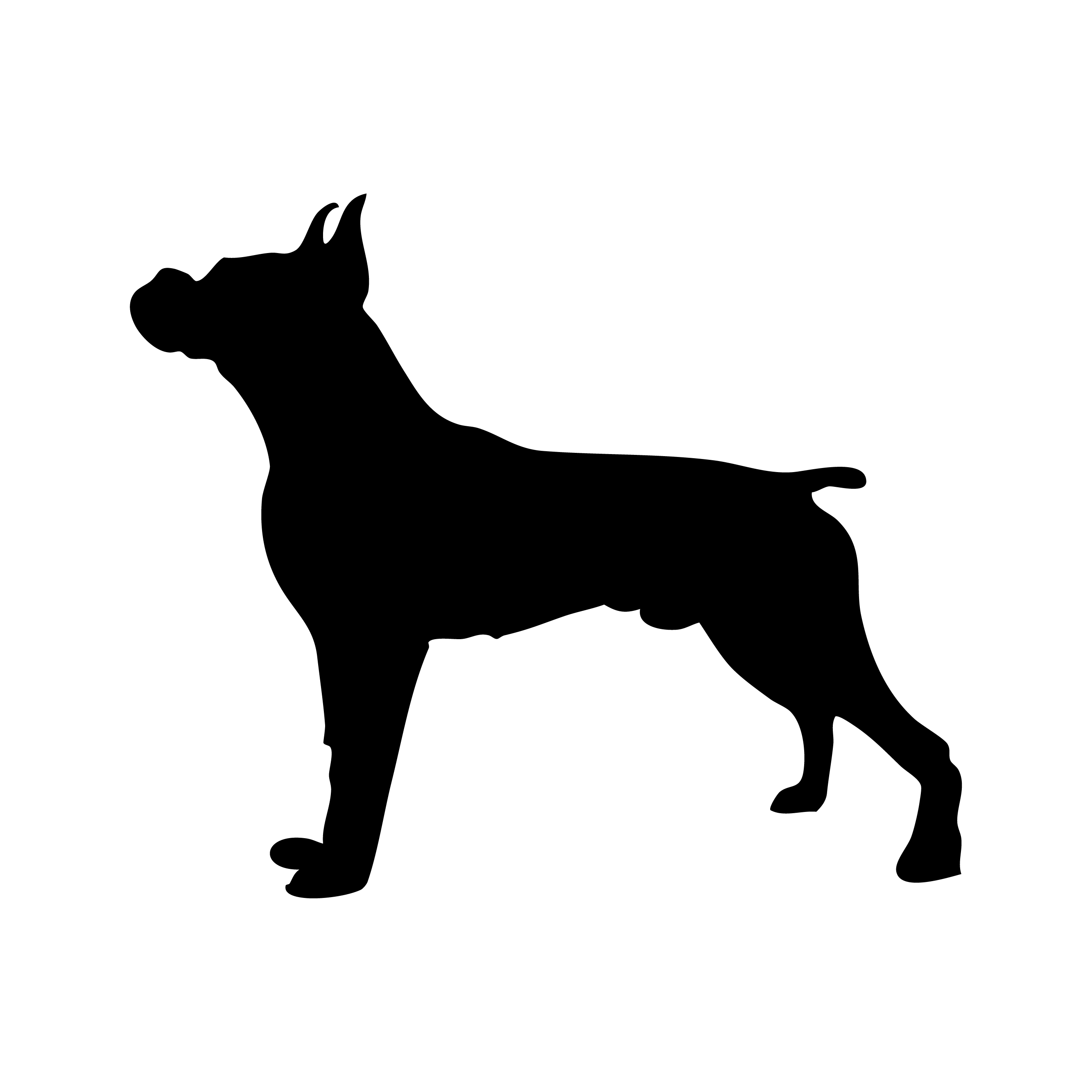 Boxer
