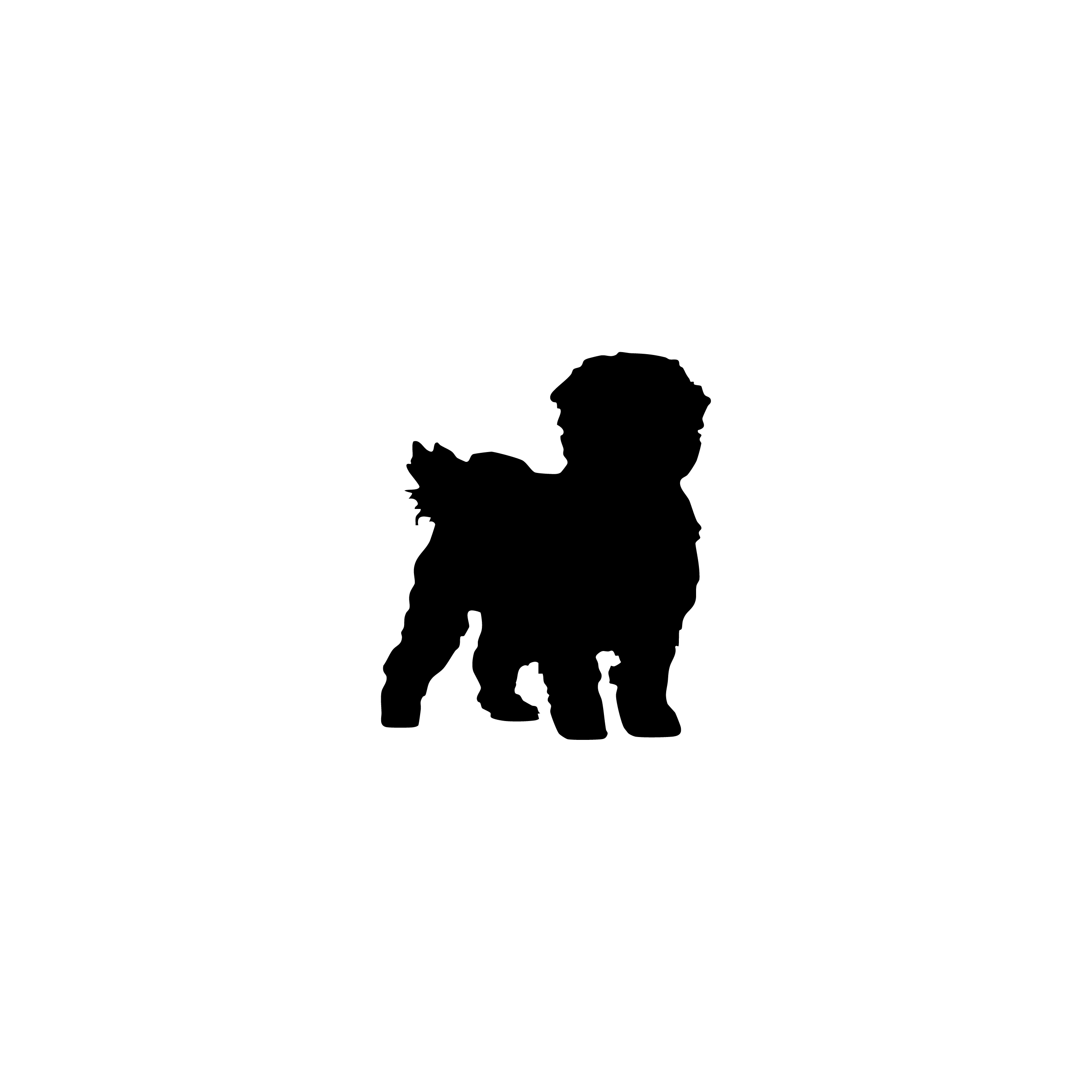 Maltese