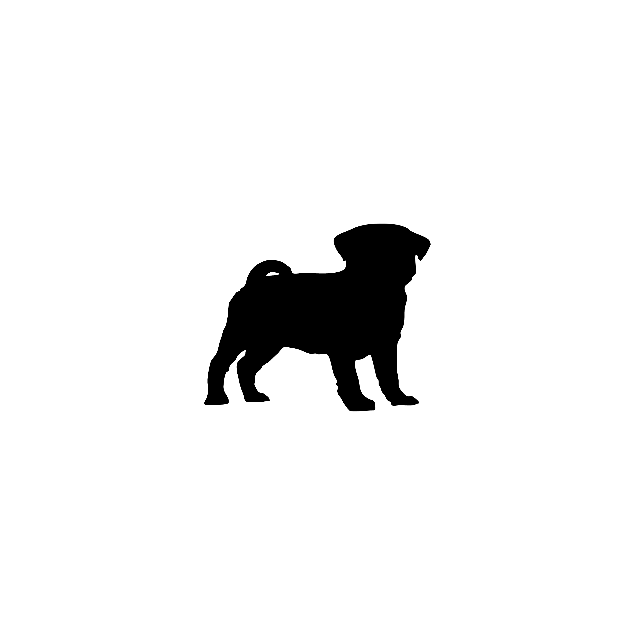 Pug